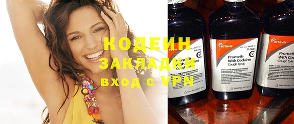 шишки Горняк