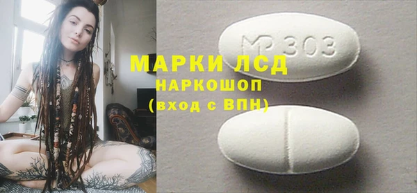 шишки Горняк