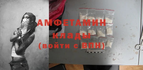 шишки Горняк