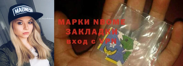 шишки Горняк