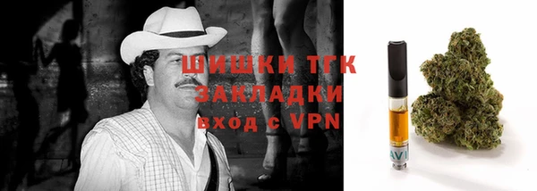 шишки Горняк