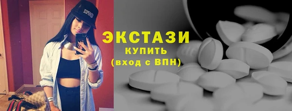 шишки Горняк