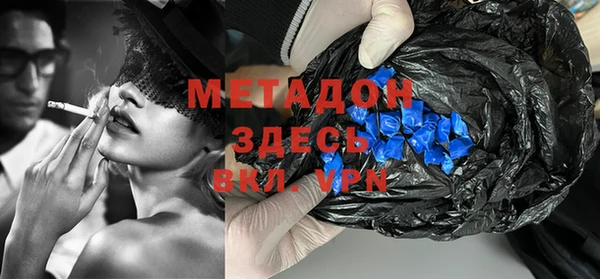 шишки Горняк