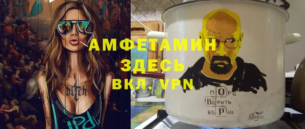 шишки Горняк