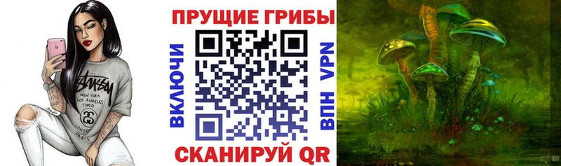 купить наркотики цена Куртамыш Галлюциногенные грибы MAGIC MUSHROOMS